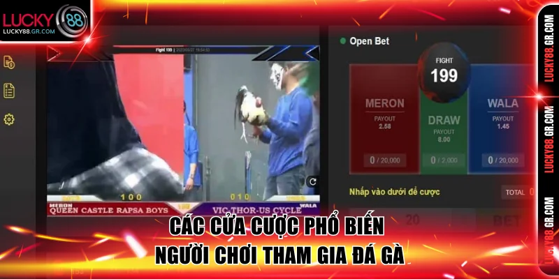 Các cửa cược phổ biến người chơi tham gia đá gà.
