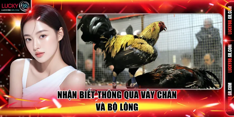 Nhận biết thông qua vảy chân và bộ lông