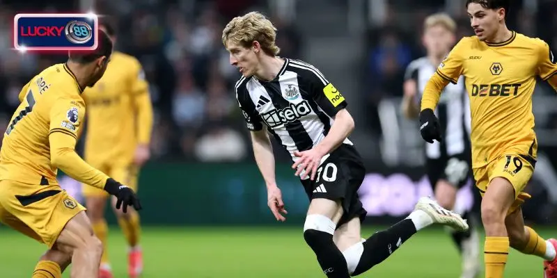 Soi kèo Wolves vs Newcastle - Vòng 22 Ngoại Hạng Anh